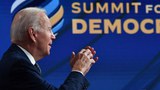 Democracy under Threat around the World, Biden Tells Summit