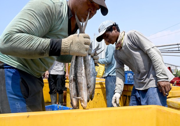 191210_ID_fishermen_1000.jpg