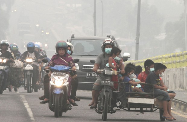 190215-ID-greenpeace-620.jpg 190215-ID-greenpeace-620.jpg