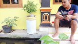 160518_ID_Freedhostage_1000.jpg