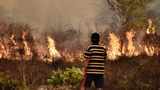 151215-ID-fires-620