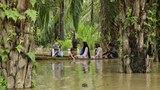 Greenpeace: Hundreds of Palm-Oil Firms Operate Illegally in Indonesian Forests