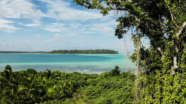 Outcry from environmentalists forces Indonesia to block auction of islands Outcry from environmentalists forces Indonesia to block auction of islands