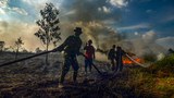 Indonesian Activists: New Rules on Palm Oil Plantations Could Threaten Forests’ Survival