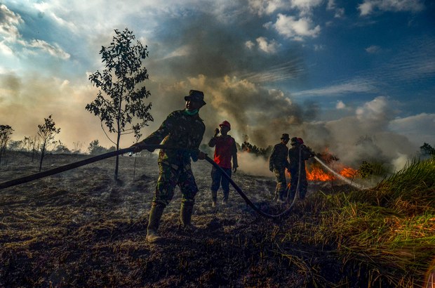 Indonesian Activists: New Rules on Palm Oil Plantations Could Threaten Forests’ Survival Indonesian Activists: New Rules on Palm Oil Plantations Could Threaten Forests’ Survival