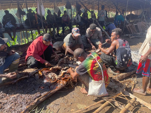 In remote forests of Indonesian Papua, clan’s pig ceremony protests land grabs In remote forests of Indonesian Papua, clan’s pig ceremony protests land grabs