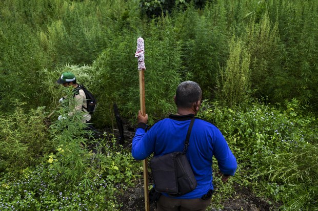 Indonesia Revokes More Than 2,000 Mining, Forestry Permits Indonesia Revokes More Than 2,000 Mining, Forestry Permits