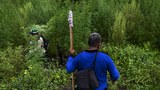 Indonesia Revokes More Than 2,000 Mining, Forestry Permits