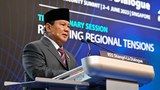 Indonesian defense minister’s Ukraine peace plan draws fire
