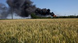Worried about food crisis, Indonesian president to visit Russia, Ukraine