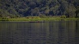 How customary laws help an Indonesian tribe preserve a forest