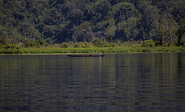 How customary laws help an Indonesian tribe preserve a forest How customary laws help an Indonesian tribe preserve a forest