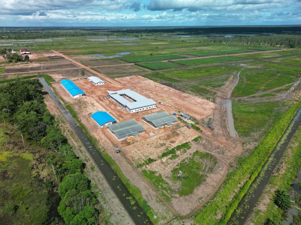 Indonesia’s massive sugar-bioethanol project in South Papua causes locals to fear exploitation Indonesia’s massive sugar-bioethanol project in South Papua causes locals to fear exploitation