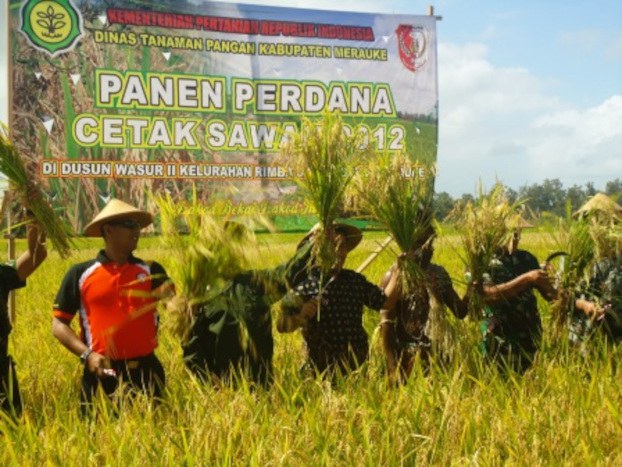 ID-Papua-pic-FOUR.jpg ID-Papua-pic-FOUR.jpg