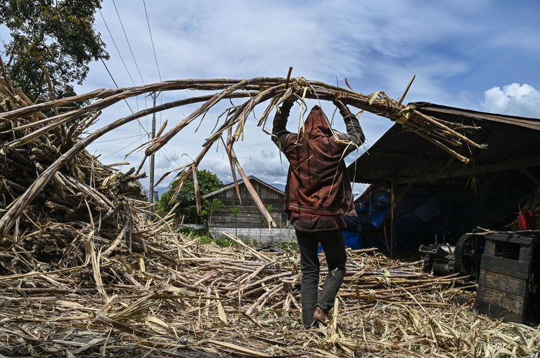 ID-Papua-THREE.jpg ID-Papua-THREE.jpg