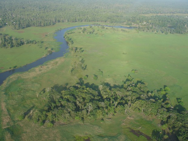 A conservation treasure is threatened by Indonesian plans for food security A conservation treasure is threatened by Indonesian plans for food security