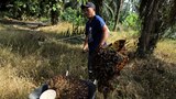Agency: 100 migrants from one Indonesian province have died abroad in 2023