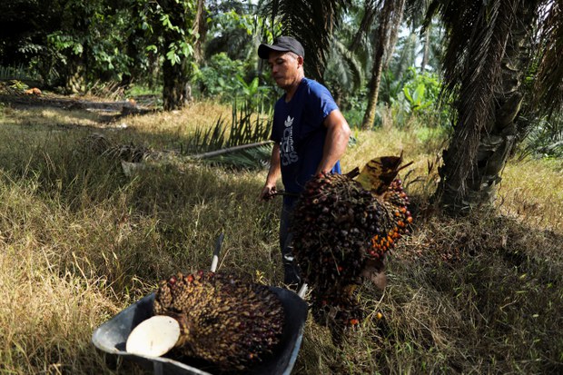 Agency: 100 migrants from one Indonesian province have died abroad in 2023 Agency: 100 migrants from one Indonesian province have died abroad in 2023