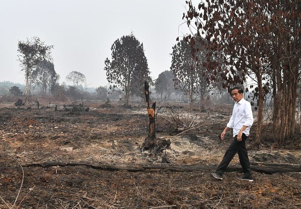 191003_ID_Jokowi_620.jpg 191003_ID_Jokowi_620.jpg