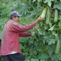 Heri Sutopo