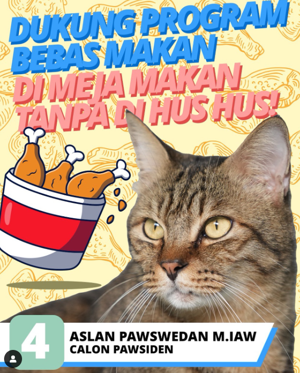 ID-ANIES-cat-pic.png ID-ANIES-cat-pic.png