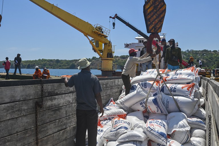 SEA-rice-pic-2.jpg SEA-rice-pic-2.jpg