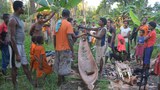 Researchers warn of potential for mass killings in Indonesia's Papua region