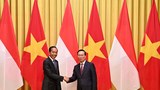Vietnamese, Indonesian presidents discuss South China Sea concerns