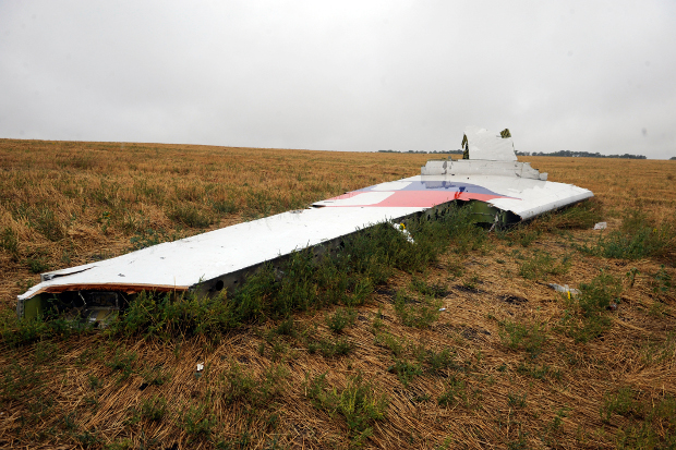 A fragment from Malaysian Airlines flight 17 is seen at a crash site in Hrabove (Grabovo), Ukraine, Sept. 9, 2014. [AFP]