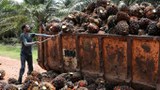 After Signing ILO Protocol, Malaysia Will be Obligated to End Forced Labor