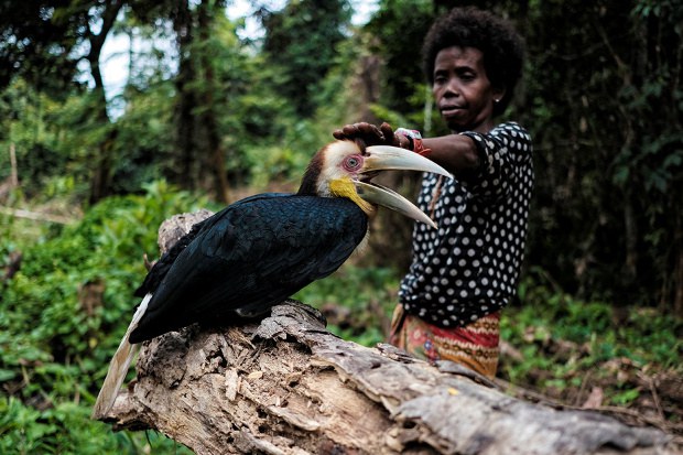 2 Orang Asli Villages Sue Malaysian State Over ‘Ancestral Land’ 2 Orang Asli Villages Sue Malaysian State Over ‘Ancestral Land’
