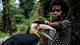 2 Orang Asli Villages Sue Malaysian State Over ‘Ancestral Land’