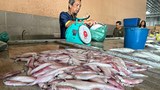 Malaysian fishermen want govt to crack down harder on Vietnamese encroachers