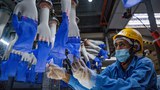 Malaysia’s Top Glove: Working with US to Get Ban Lifted