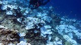 American Samoa criticizes US plan to expand size of Pacific marine sanctuary