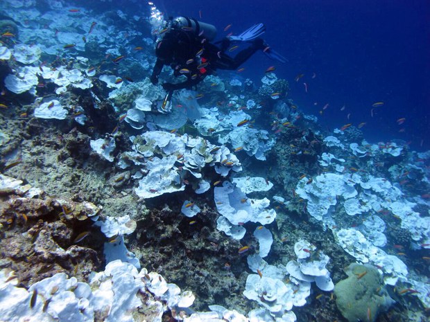 American Samoa criticizes US plan to expand size of Pacific marine sanctuary American Samoa criticizes US plan to expand size of Pacific marine sanctuary