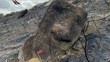 UNESCO to survey fire damage to Rapa Nui’s Polynesian megaliths