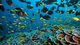 Pacific expedition hopes to find new species, establish marine protected areas