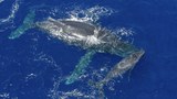 Niue, a Pacific atoll, seeks sponsors to protect its vast ocean territory