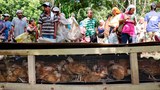 170811-PH-chickens-620