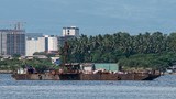 China-funded bridge project could harm Paradise Reef, environmentalists warn