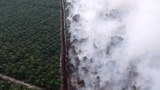 Study: Climate Disasters Displaced 8M People Internally in Philippines, Bangladesh in 2020