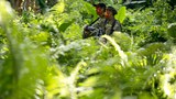 Philippine Special Forces Kill 5 Communist Rebels in Southern Clash