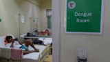 190911-PH-dengue-620.jpg