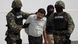 190213-PH-chapo-1000.jpg