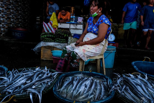 Philippine Officials Credit Flexible Strategies for 2021 Economic Rebound Philippine Officials Credit Flexible Strategies for 2021 Economic Rebound