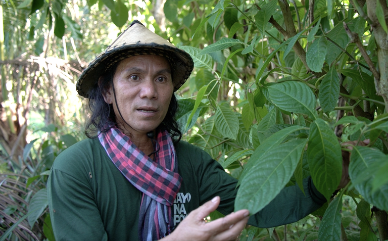 filipino-farmer 5.png filipino-farmer 5.png