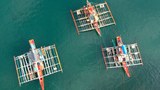 Restricted Access, Trawlers Hurt Small-Scale Fishermen in Philippines