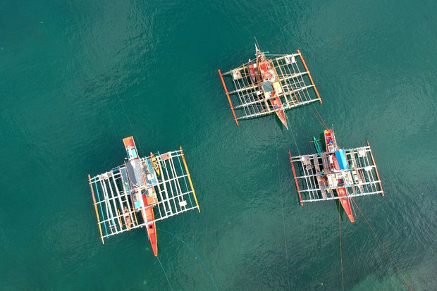 Restricted Access, Trawlers Hurt Small-Scale Fishermen in Philippines Restricted Access, Trawlers Hurt Small-Scale Fishermen in Philippines