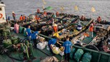 Filipina mayor, Chinese recycler among top UN environmental honorees